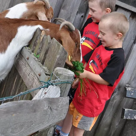 Schwanen Kaelberbronn 팔츠그라펜바일러