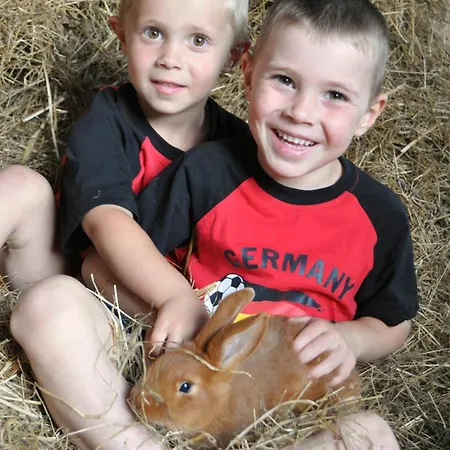 호텔 Schwanen Kaelberbronn