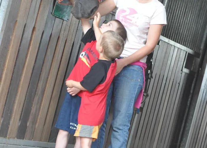 Schwanen Kaelberbronn