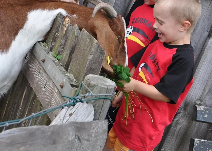 Schwanen Kaelberbronn Pfalzgrafenweiler