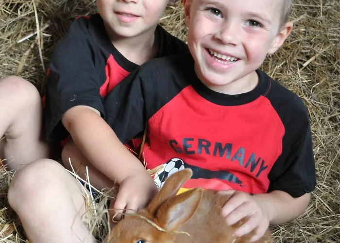 Szálloda Schwanen Kaelberbronn