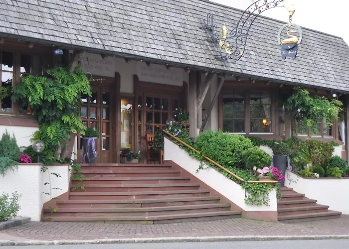 Schwanen Kaelberbronn