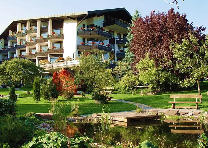 Schwanen Kaelberbronn